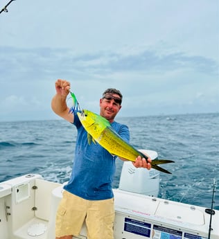 Mahi Mahi Fishing in Destin, Florida