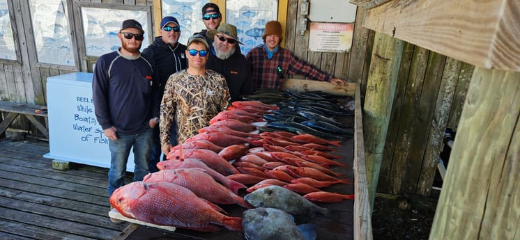 Fishing in Pensacola, Florida