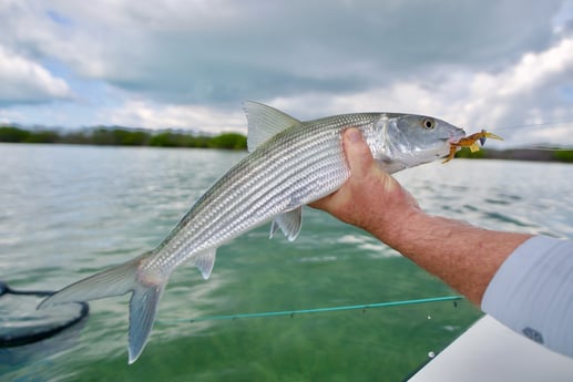 Fishing in Wrightsville Beach, North Carolina