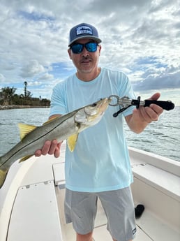 Fishing in Sarasota, Florida