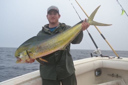 Mahi Mahi / Dorado fishing in Galveston, Texas