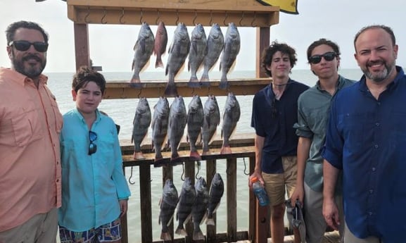 Black Drum fishing in Port Isabel, Texas