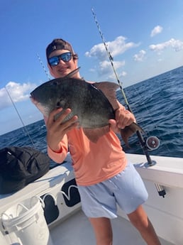 Triggerfish Fishing in Orange Beach, Alabama