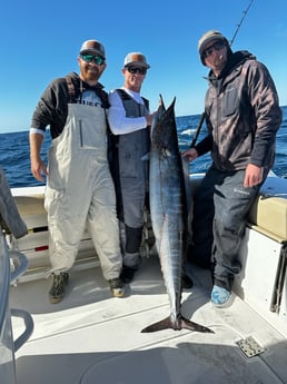 Wahoo Fishing in Destin, Florida