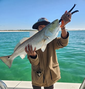 Redfish Fishing in Pensacola, Florida