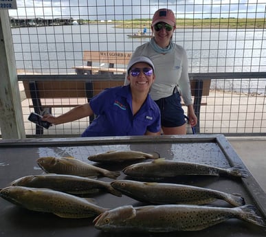 Speckled Trout / Spotted Seatrout fishing in Matagorda, Texas