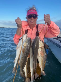 Redfish Fishing in Ingleside, Texas