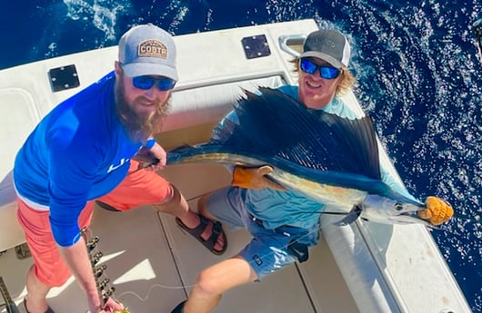 Sailfish Fishing in Key West, Florida