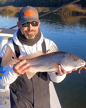 Redfish fishing in Hilton Head Island, South Carolina