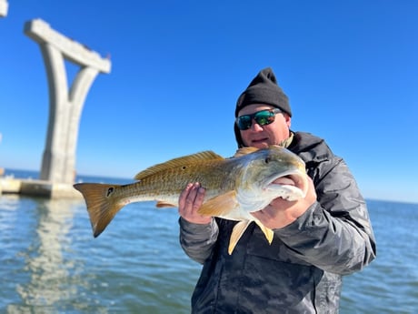 Redfish fishing in Pensacola, Florida