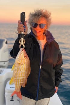 Lane Snapper Fishing in Jacksonville, Florida