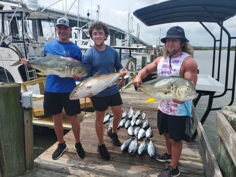 Amberjack, Little Tunny / False Albacore fishing in Port Orange, Florida