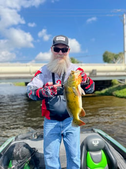 Peacock Bass Fishing in Boca Raton, Florida