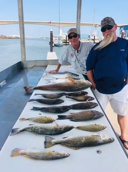 Redfish, Speckled Trout / Spotted Seatrout, Hardhead Catfish fishing in Surfside Beach, Texas