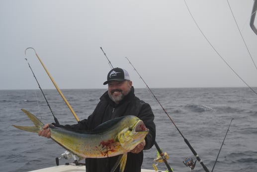 Mahi Mahi / Dorado fishing in Galveston, Texas