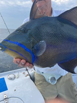 Fishing in Panama City Beach, Florida