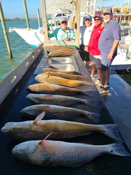 Redfish fishing in Port O&#039;Connor, Texas