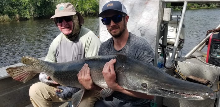 Alligator Gar fishing in Livingston, Texas