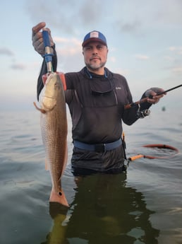 Redfish Fishing in South Padre Island, Texas