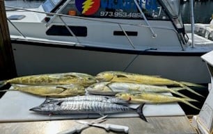 Mahi Mahi / Dorado, Wahoo Fishing in Pompano Beach, Florida