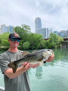 Largemouth Bass fishing in Austin, Texas