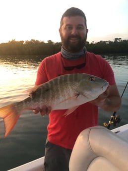 Mutton Snapper fishing in Key West, Florida