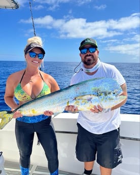 Mahi mahi fishing in Key Largo, Florida