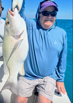 Mangrove Snapper Fishing in Marathon, Florida