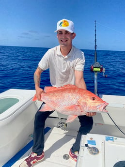 Red Snapper Fishing in Key West, Florida