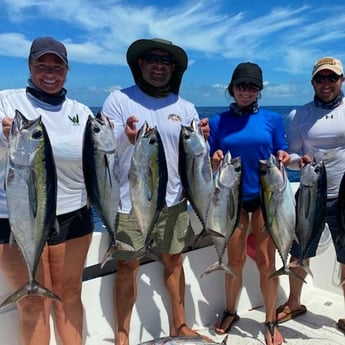 Blackfin Tuna fishing in Key West, Florida