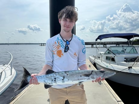 Barracuda Fishing in St. Marys, Georgia