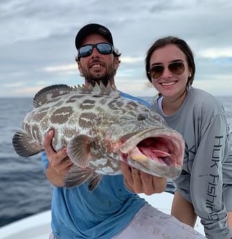 Black Grouper fishing in Key West, Florida