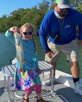 Mahi Mahi / Dorado fishing in Key Largo, Florida