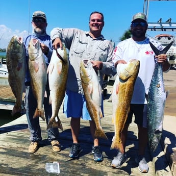 King Mackerel / Kingfish, Redfish fishing in Galveston, Texas