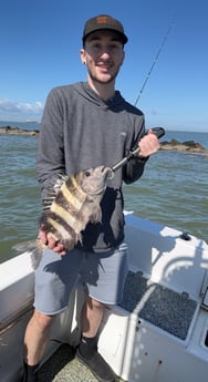 Sheepshead Fishing in Galveston, Texas