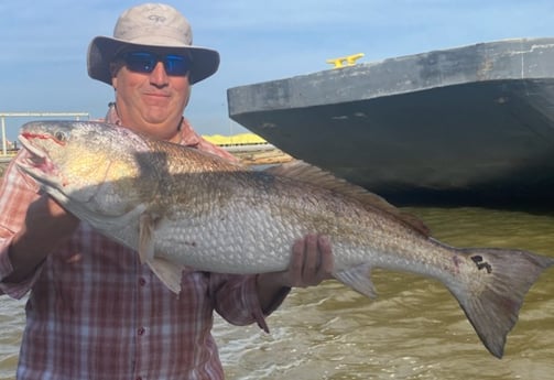 Redfish Fishing in Galveston, Texas