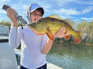 Peacock Bass Fishing in Palmetto Bay, Florida