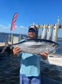 Blackfin Tuna fishing in Destin, Florida