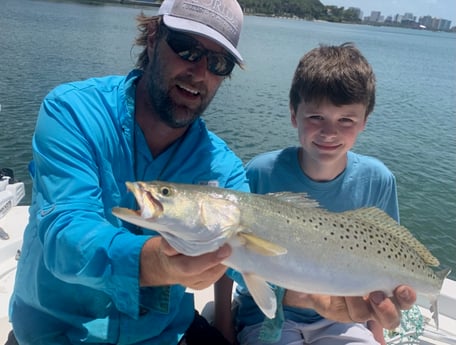 Snook, Speckled Trout / Spotted Seatrout fishing in Sarasota, Florida