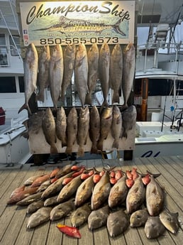 Amberjack, Gag Grouper, Red Snapper, Triggerfish Fishing in Destin, Florida