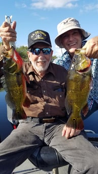 Peacock Bass Fishing in Fort Lauderdale, Florida