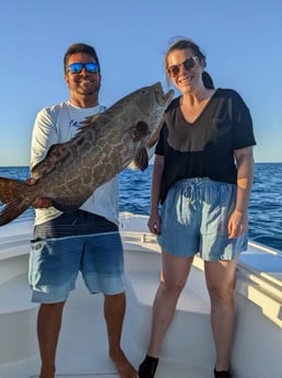 Tarpon fishing in Key West, Florida