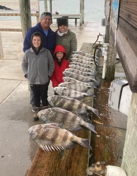 Black Drum, Sheepshead Fishing in Rockport, Texas