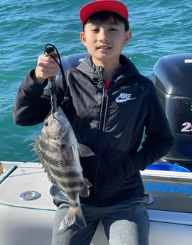 Sheepshead fishing in Mount Pleasant, South Carolina