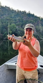 Rainbow Trout Fishing in Broken Bow, Oklahoma