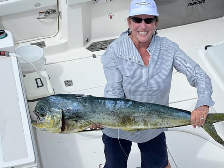 Mahi Mahi / Dorado fishing in Marathon, Florida