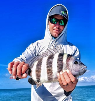 Sheepshead Fishing in Key Largo, Florida