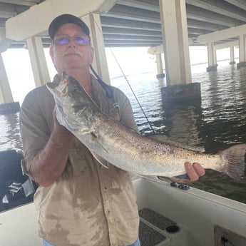 Speckled Trout / Spotted Seatrout fishing in Galveston, Texas