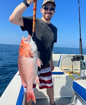 Red Snapper Fishing in Destin, Florida