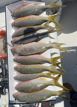 Fishing in Key West, Florida